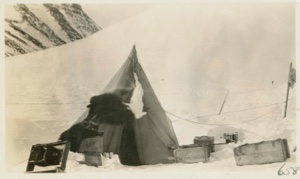 Image: MacMillan's tent